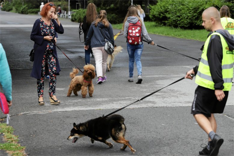 Opieka nad psem to nie tylko codzienna "micha" i spacer.