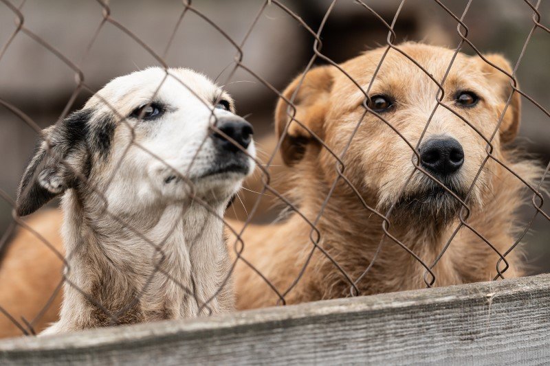 27 stycznia 2023 roku wejdzie w  życie nowe prawo