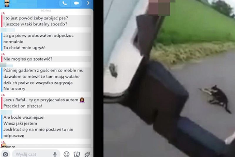 Ujanwiono rozmowę domniemanego sprawcy potrącenia psa. Tłumaczył się w kuriozalny sposób.