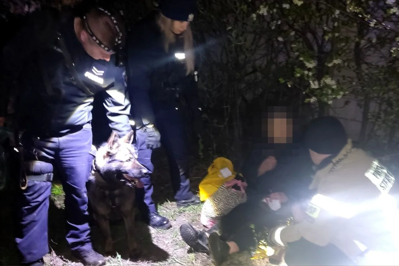 Pies Tolo znalazł zaginioną kobietę Akcja poszukiwawcza z psem Tolo