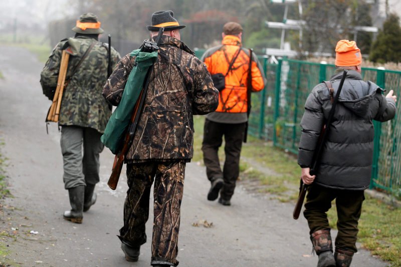 Ekolodzy spodziewają się masowego odstrzału zwierząt.